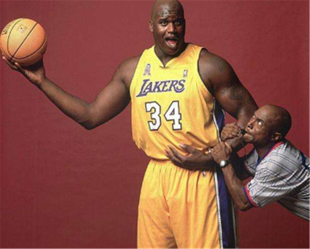 条队内人事 条队内人事